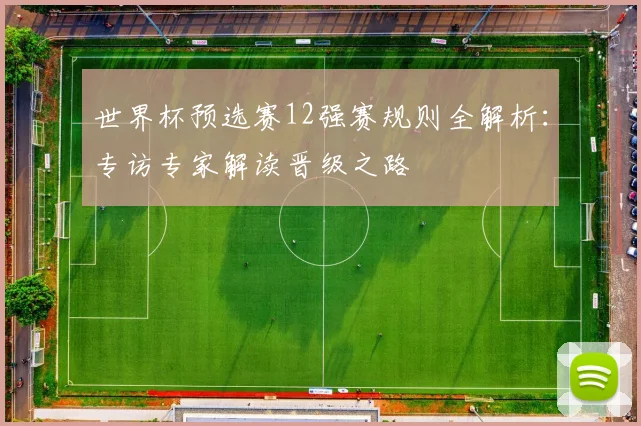 世界杯预选赛12强赛规则全解析：专访专家解读晋级之路
