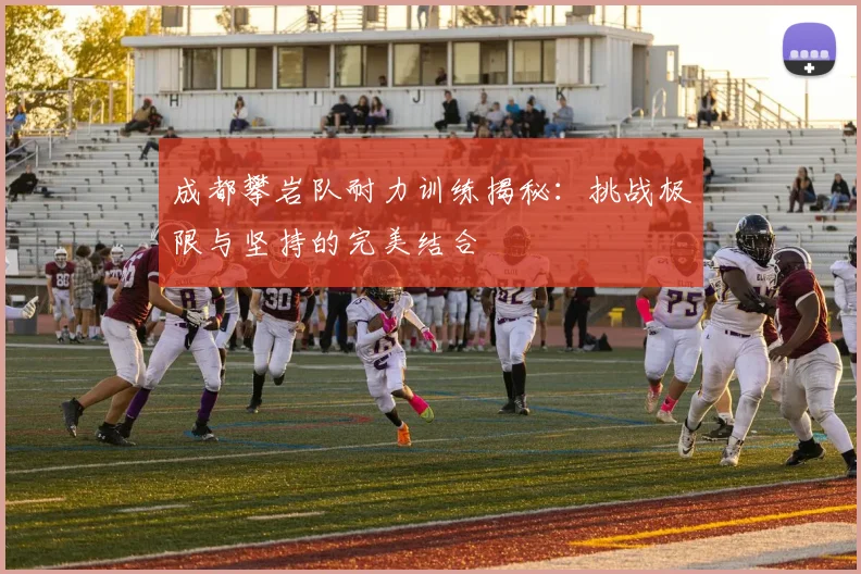 成都攀岩队耐力训练揭秘：挑战极限与坚持的完美结合
