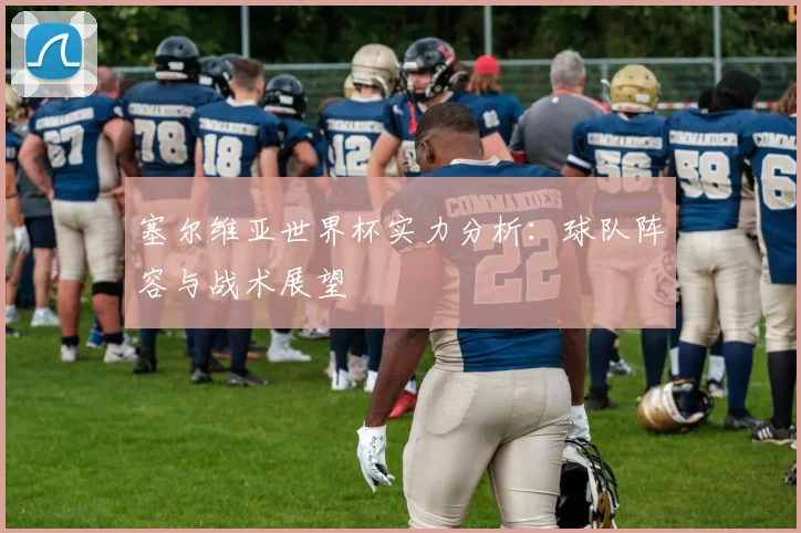 塞尔维亚世界杯实力分析：球队阵容与战术展望