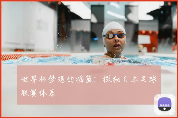 世界杯梦想的摇篮：探秘日本足球联赛体系
