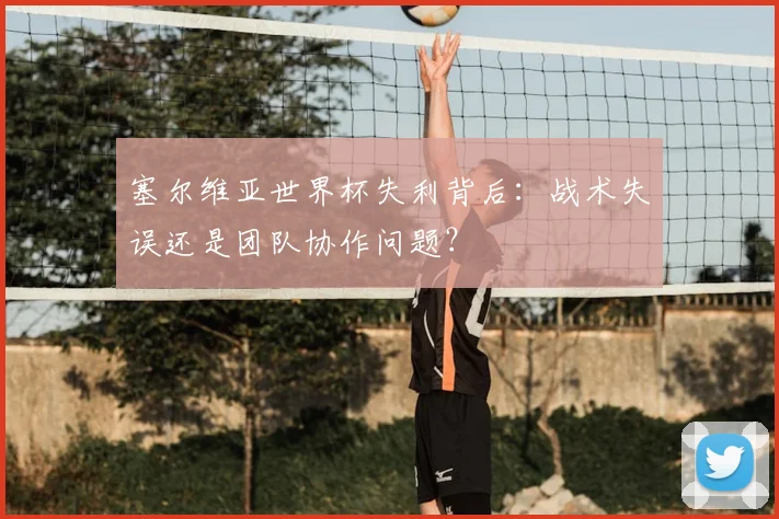 塞尔维亚世界杯失利背后：战术失误还是团队协作问题？