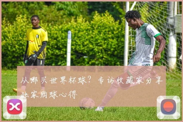 从哪买世界杯球？专访收藏家分享独家购球心得