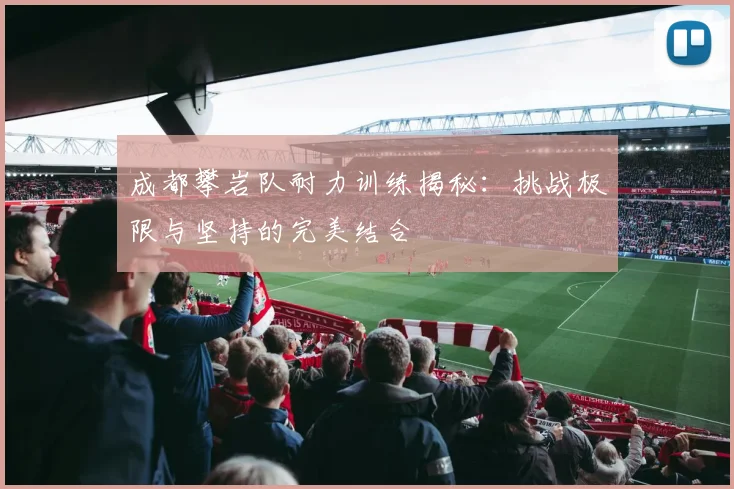 成都攀岩队耐力训练揭秘：挑战极限与坚持的完美结合