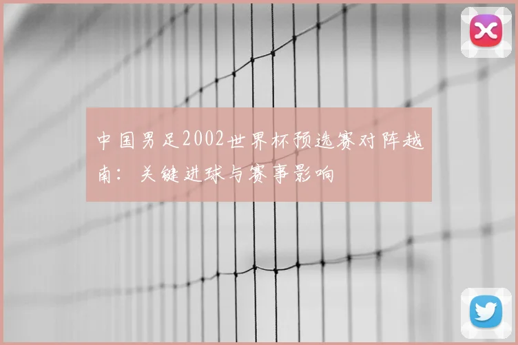中国男足2002世界杯预选赛对阵越南：关键进球与赛事影响