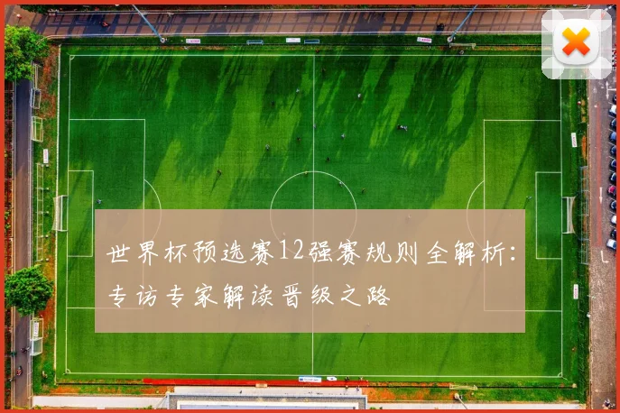 世界杯预选赛12强赛规则全解析：专访专家解读晋级之路