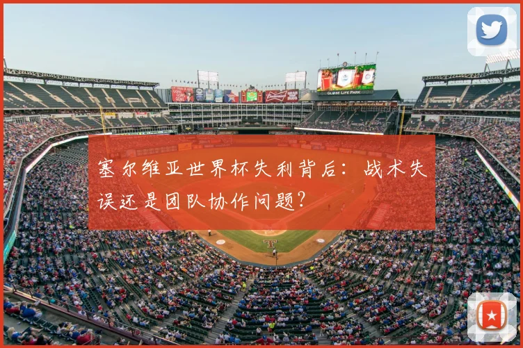 塞尔维亚世界杯失利背后：战术失误还是团队协作问题？