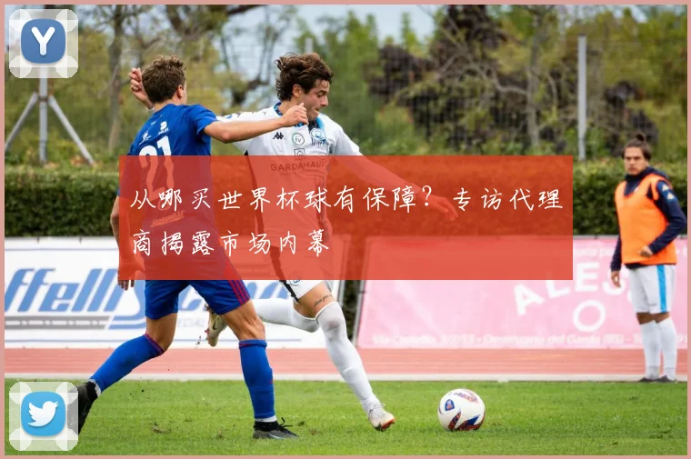 从哪买世界杯球有保障？专访代理商揭露市场内幕