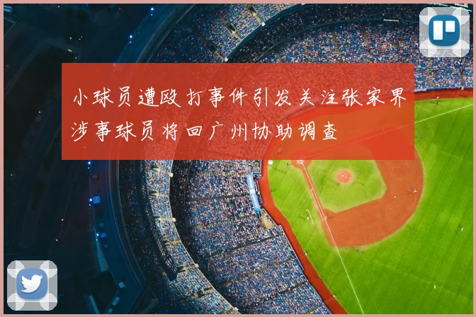 小球员遭殴打事件引发关注张家界涉事球员将回广州协助调查