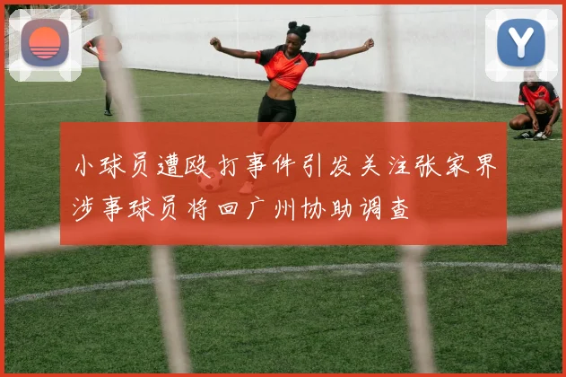 小球员遭殴打事件引发关注张家界涉事球员将回广州协助调查